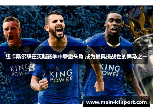 纽卡斯尔联在英超赛季中崭露头角 成为最具挑战性的黑马之一 纽卡斯尔联在英超赛季中崭露头角 成为最具挑战性的黑马之一