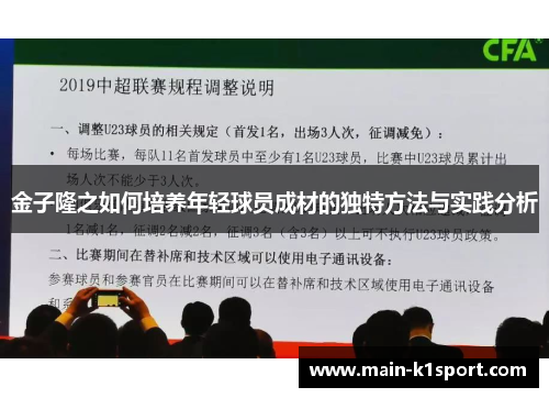 金子隆之如何培养年轻球员成材的独特方法与实践分析 金子隆之如何培养年轻球员成材的独特方法与实践分析